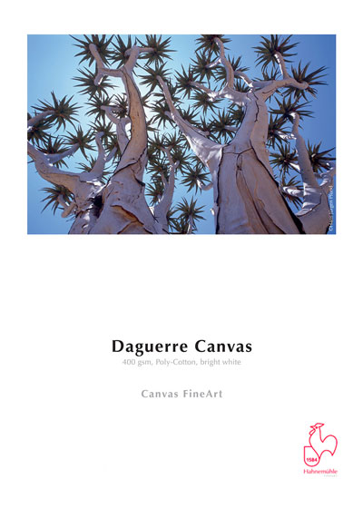 Daguerre Canvas 400 gram