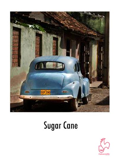 Sugar Cane 300 gram